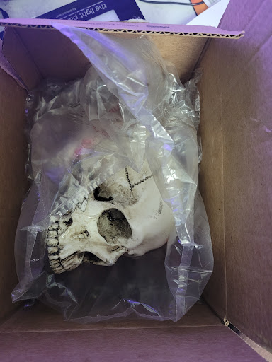 Explore music tattoo ideas male, creative tattoo ideas in Bradenton, available at Memory Lane Tattoo Co.