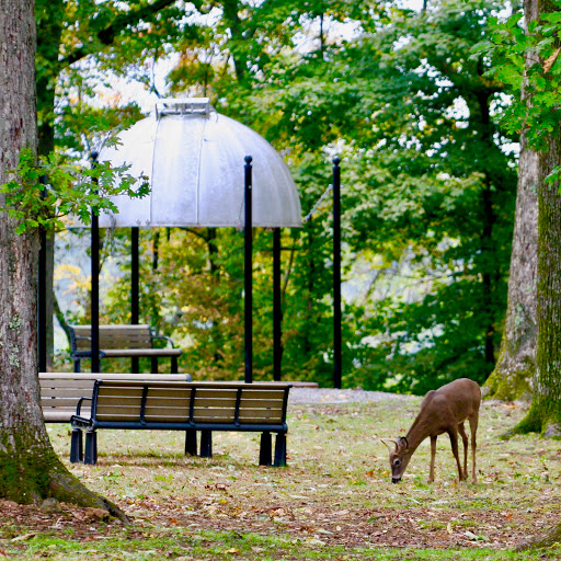 Observatory «Vanderbilt Dyer Observatory», reviews and photos, 1000 Oman Dr, Brentwood, TN 37027, USA