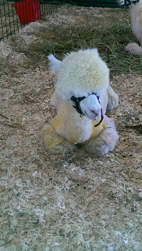 Water Park «Monsoon Lagoon Watering Hole Safari & Waterpark», reviews and photos, 1530 S Danbury Rd, Port Clinton, OH 43452, USA