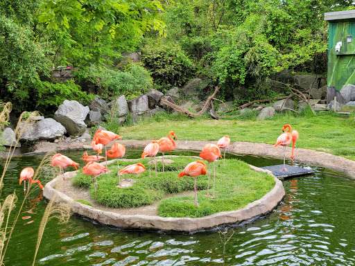 Zoo «The Maryland Zoo in Baltimore», reviews and photos, 1 Safari Place, Baltimore, MD 21217, USA