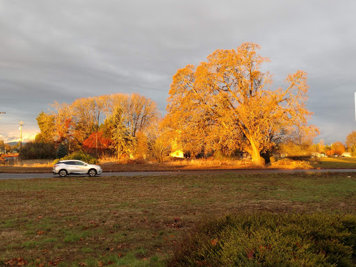 Grocery Store «Safeway», reviews and photos, 1755 Pacific Hwy W, Junction City, OR 97448, USA