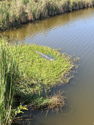 Nature Preserve «Mobbly Bayou Wilderness Preserve», reviews and photos, 423 Lafayette Blvd, Oldsmar, FL 34677, USA