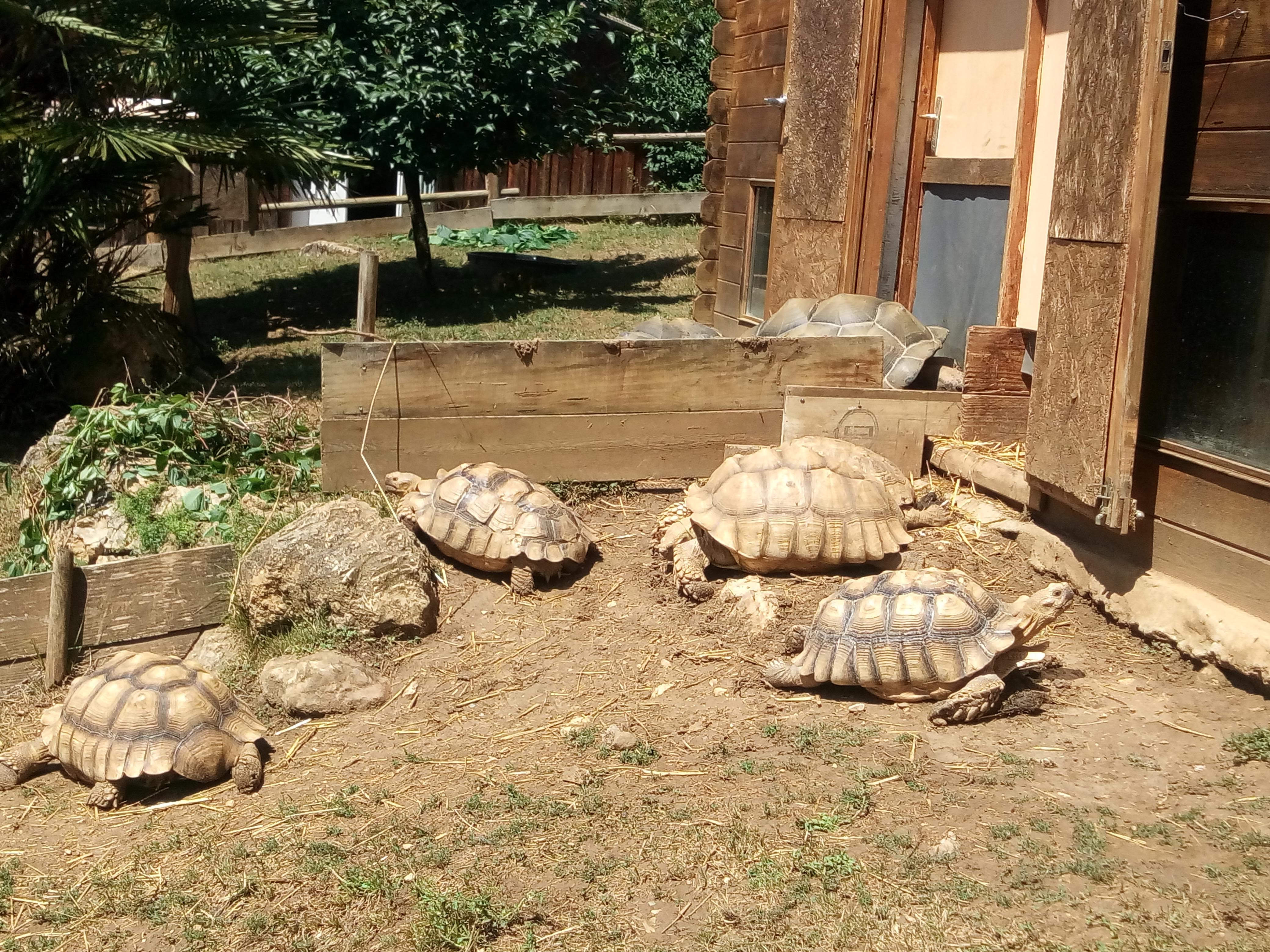 Photo n° 3 de l'avis de Sophie.a fait le 28/07/2019 à 13:03