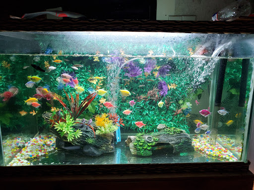 Pet Supply Store «Petco Animal Supplies», reviews and photos, 1500 N Town E Blvd, Mesquite, TX 75150, USA