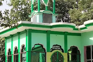 Baba Shah Abdula Ji image