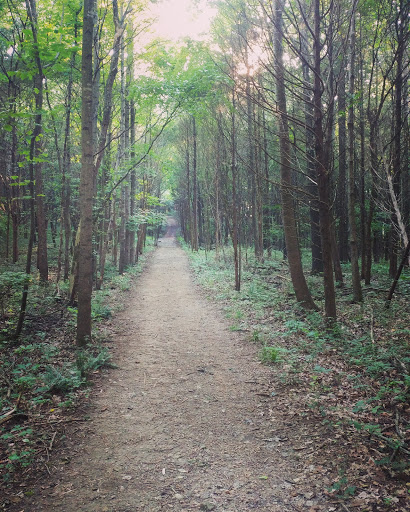 Grocery Store «H G Hill Food Stores», reviews and photos, 2498 TN-49, Pleasant View, TN 37146, USA