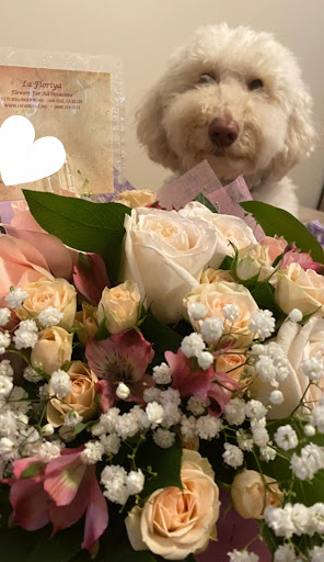 Florist «La Floriya», reviews and photos, 6170 Bollinger Rd, San Jose, CA 95130, USA