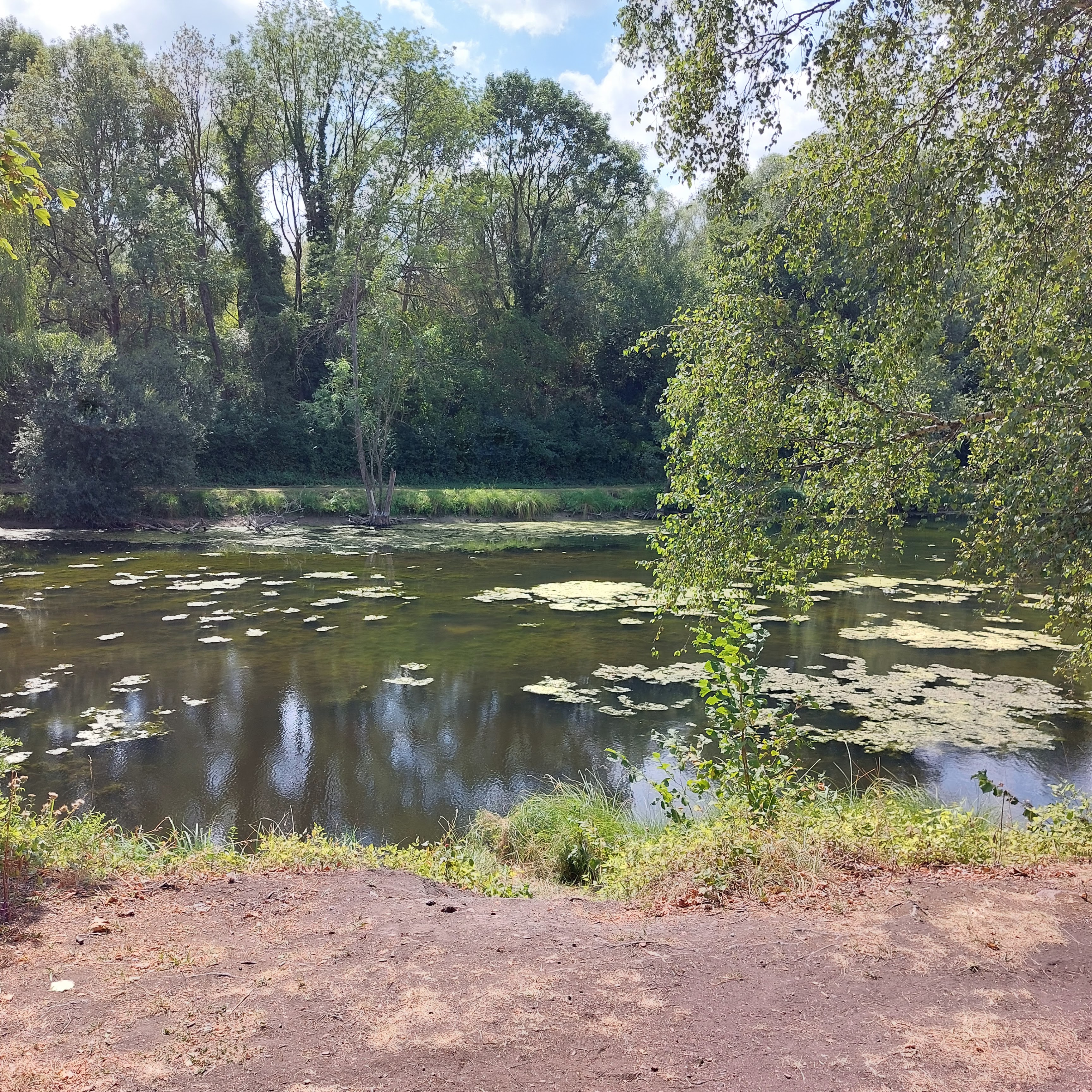 Photo n° 3 de l'avis de Alfa.l fait le 15/08/2022 à 17:09