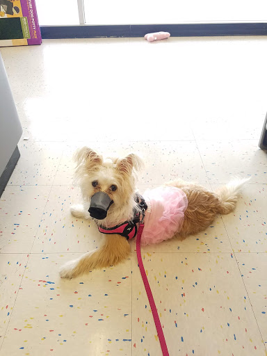 Pet Supply Store «Petco Animal Supplies», reviews and photos, 420 El Cerrito Plaza, El Cerrito, CA 94530, USA