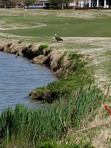 Golf Club «Virginia Beach National Golf Club», reviews and photos, 2500 Tournament Dr, Virginia Beach, VA 23456, USA