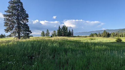 Tourist Attraction «Utah Olympic Park», reviews and photos, 3419 Olympic Pkwy, Park City, UT 84098, USA