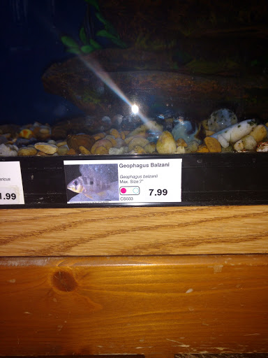 Pet Store «Hendersonville Pet Shop», reviews and photos, 1400 Spartanburg Hwy, Hendersonville, NC 28792, USA