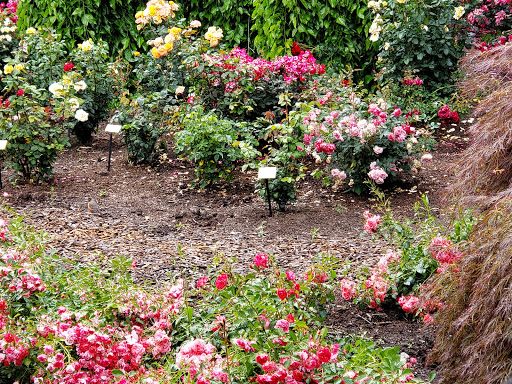 Zoo «Oregon Zoo», reviews and photos, 4001 Southwest Canyon Road, Portland, OR 97221, USA