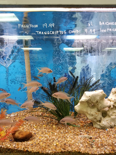 Tropical Fish Store «Fishland», reviews and photos, 13155 Westheimer Rd #114, Houston, TX 77077, USA