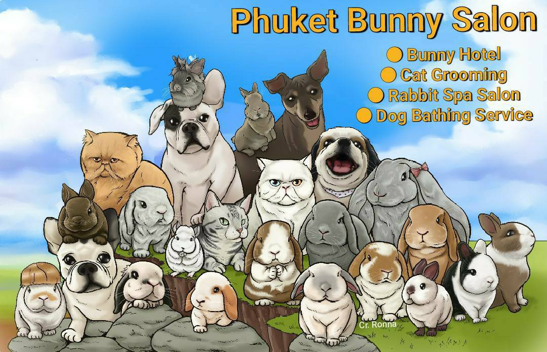 Phuket Bunny Salon