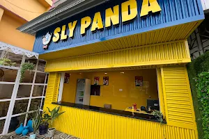 Sly Panda image