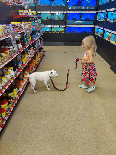 Pet Supply Store «Petco Animal Supplies», reviews and photos, 25 Hazard Ave, Enfield, CT 06082, USA