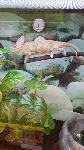 Pet Supply Store «Petco Animal Supplies», reviews and photos, 1141 Wantagh Ave, Wantagh, NY 11793, USA