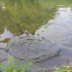 Photo n°4 de l'avis de M..c fait le 26/06/2020 à 18:39 sur le  Gut Vorwald à Schmallenberg