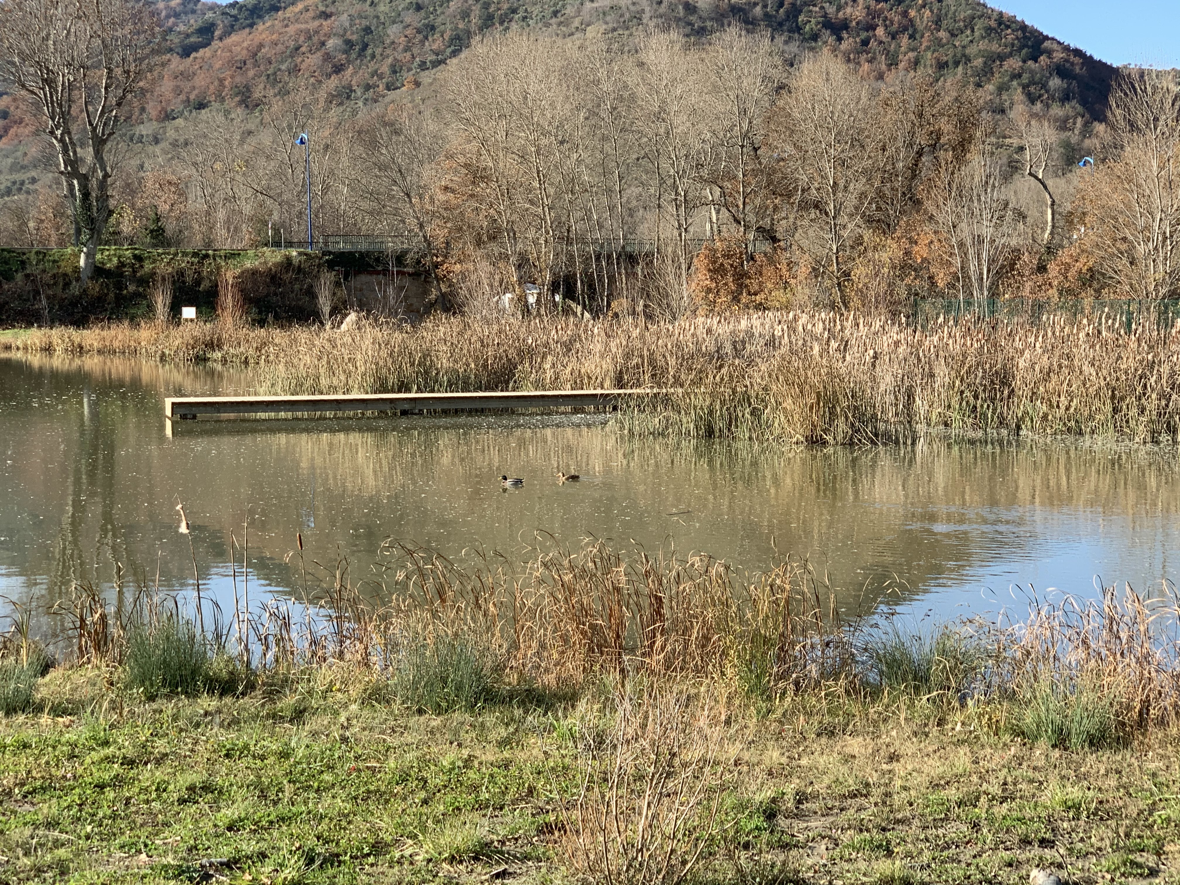 Photo n° 4 de l'avis de Carlos.e fait le 21/01/2020 à 14:46