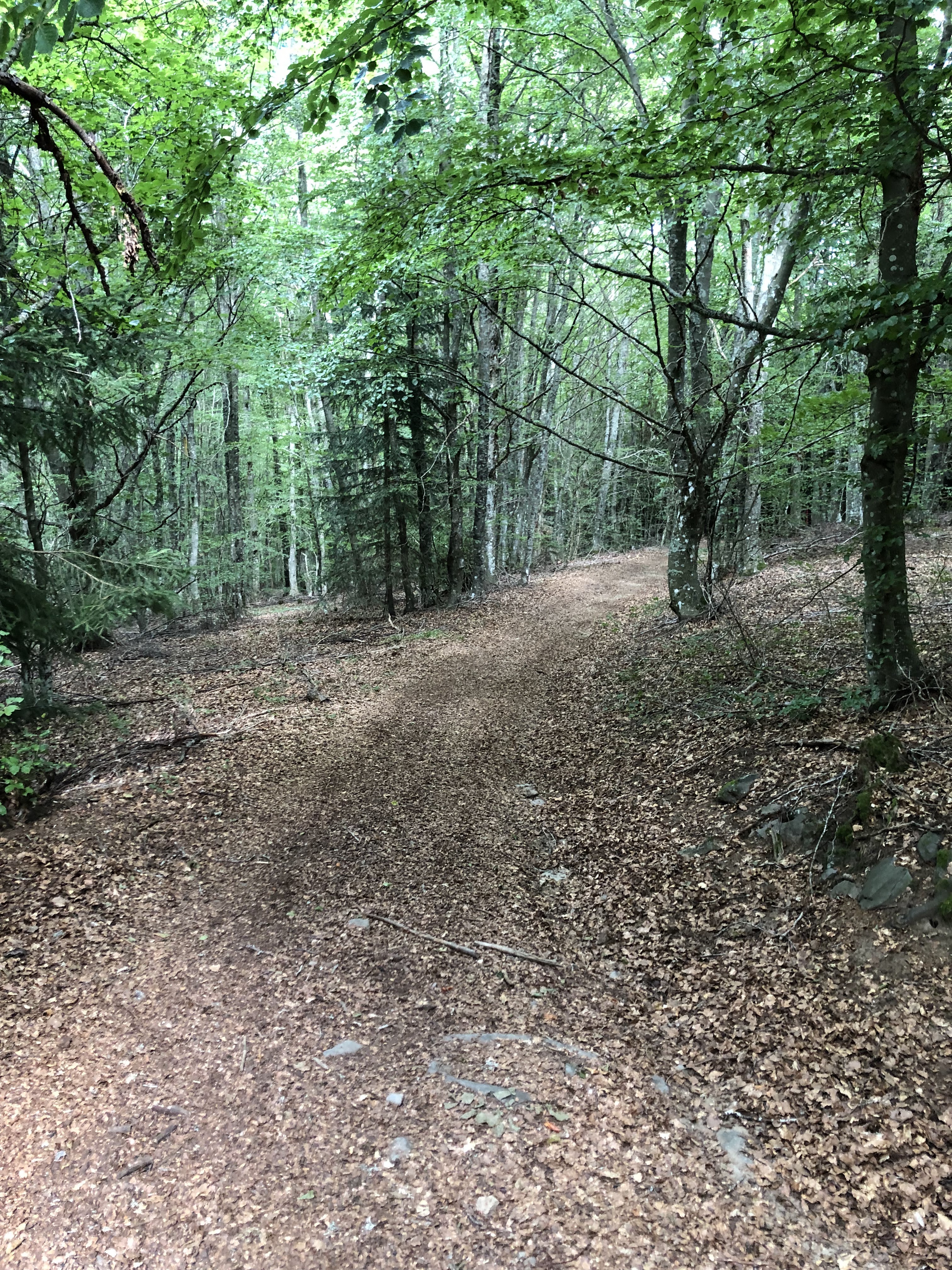 Photo n° 15 de l'avis de Alexandre.a fait le 11/11/2022 à 21:39