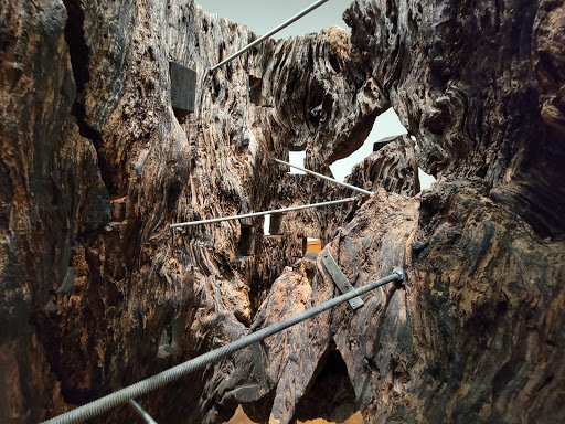 Art Gallery «Addison Gallery of American Art», reviews and photos, 180 Main St, Andover, MA 01810, USA