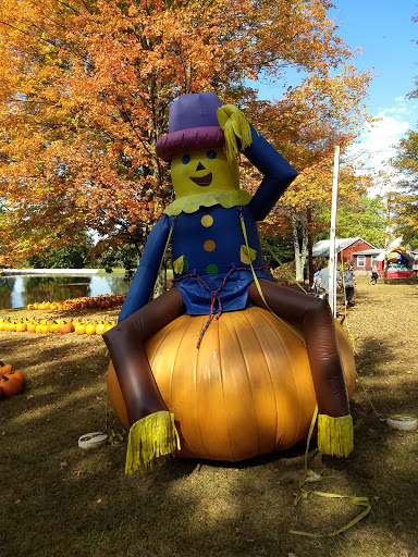 Countryside Farm Barn Venue