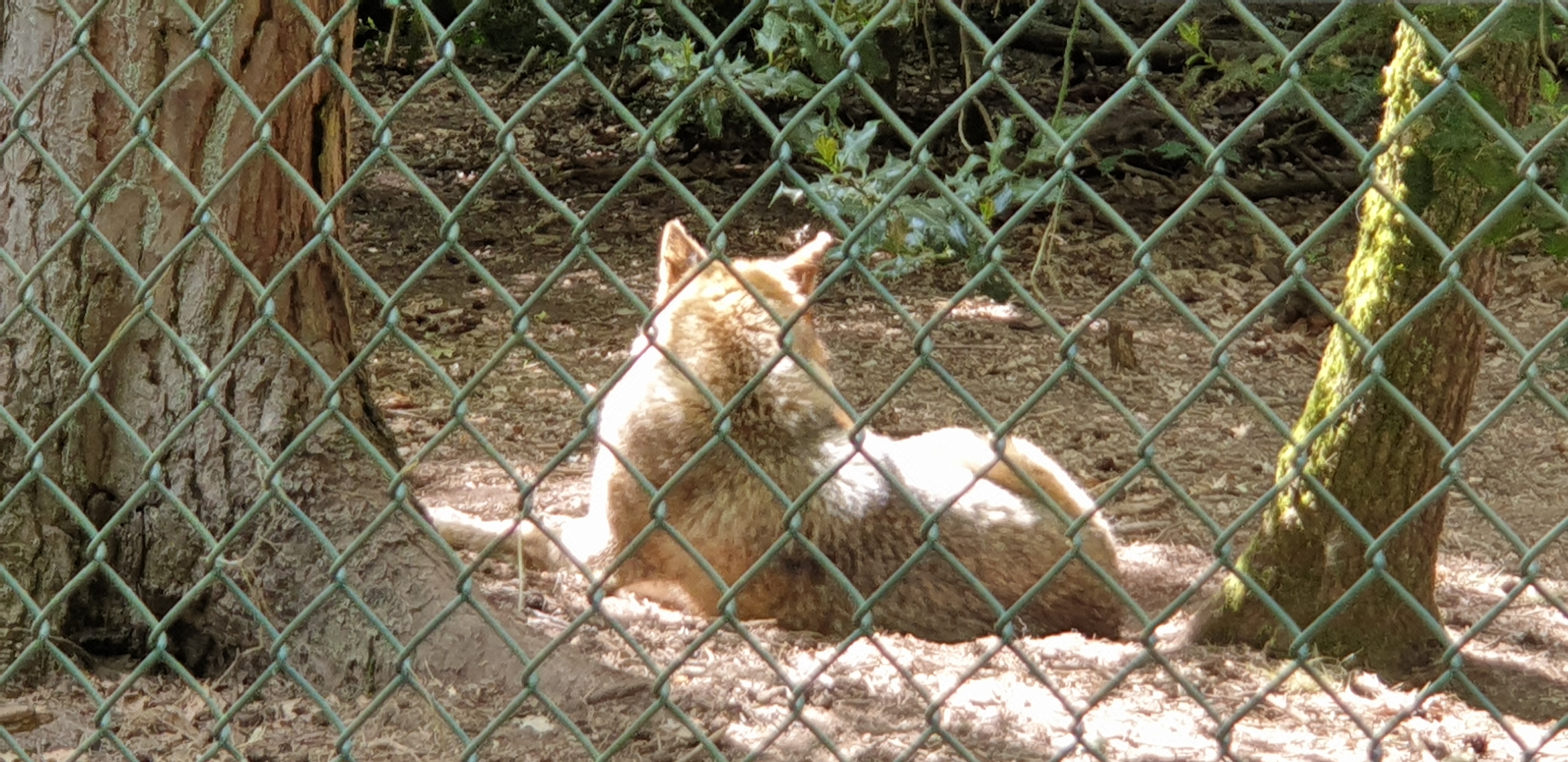 Photo n° 21 de l'avis de Dominique.A fait le 05/05/2022 à 18:02
