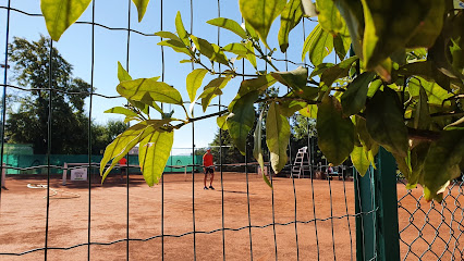 Софийски тенис клуб