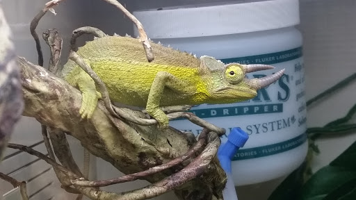 Pet Supply Store «Pet Supplies Plus», reviews and photos, 4250 N Alafaya Trail #240, Oviedo, FL 32765, USA