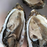 Photo n° 1 de l'avis de Jean-Louis.e fait le 20/08/2022 à 10:53 pour Earl huîtres Dallet et fils à Esnandes