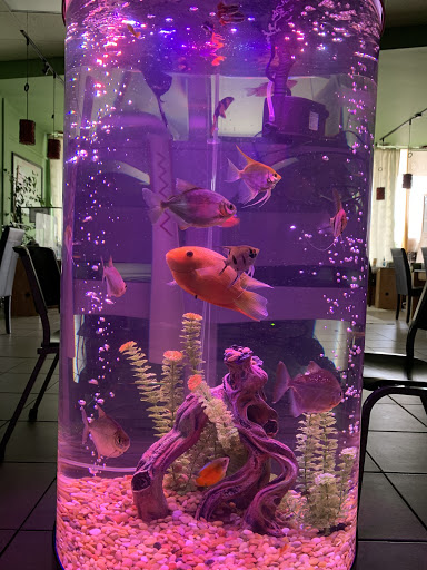 Pet Store «Forest Lake Pets», reviews and photos, 120 Lake St N, Forest Lake, MN 55025, USA