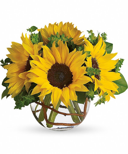 Florist «Spring Garden Flower Shop», reviews and photos, 211 Brooklyn Ave, San Antonio, TX 78215, USA