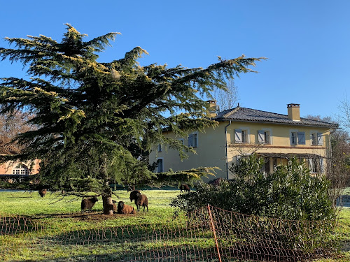 La Colombière - Le Gîte à Villaudric