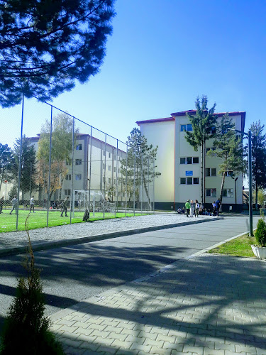 Colegiul Național Petru Rareș - Grădiniță