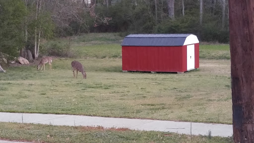 Park «Clark Community Park», reviews and photos, 111 Davis Rd, Stockbridge, GA 30281, USA