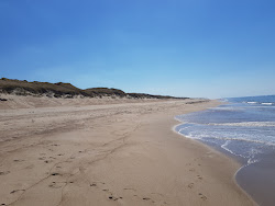 Zdjęcie Vejlby Klit Beach z powierzchnią turkusowa czysta woda