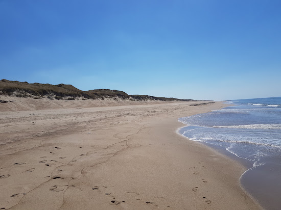 Vejlby Klit Beach