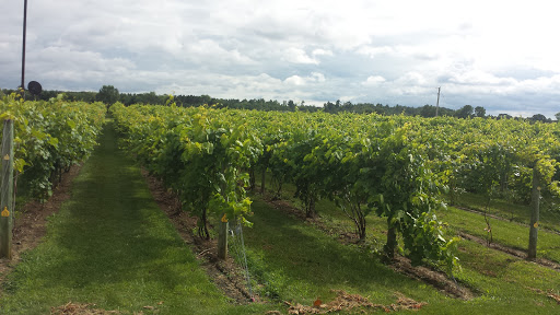 Winery «River Bend Vineyard & Winery», reviews and photos, 10439 33rd Ave, Chippewa Falls, WI 54729, USA