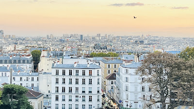 Mathieu VELLUET - Conseiller immobilier IAD - Estimation Immobilière Paris 18 à Paris