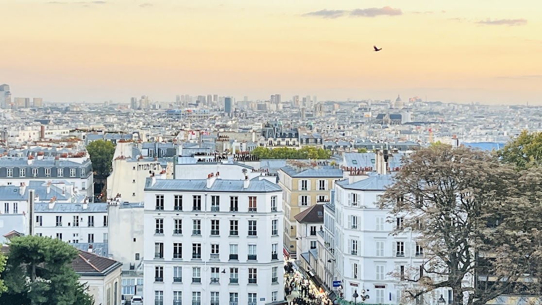 Mathieu VELLUET - Conseiller immobilier IAD - Estimation Immobilière Paris 18 Paris
