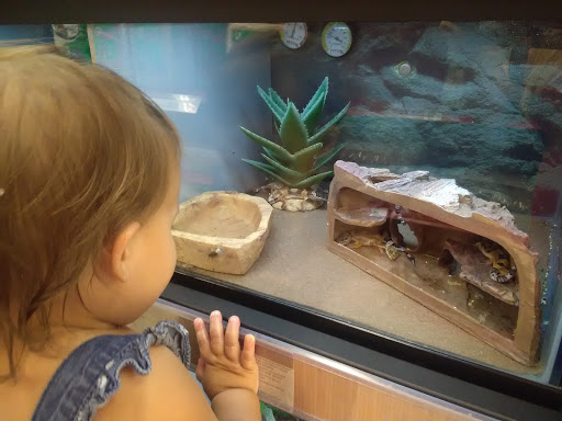 Pet Supply Store «Petco Animal Supplies», reviews and photos, 13127 N Dale Mabry Hwy, Tampa, FL 33618, USA