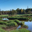 Chase River Estuary Park