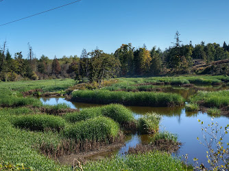 Chase River Estuary Park