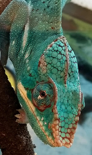 Pet Supply Store «Petco Animal Supplies», reviews and photos, 1753 St Lucie W Blvd, Port St Lucie, FL 34986, USA