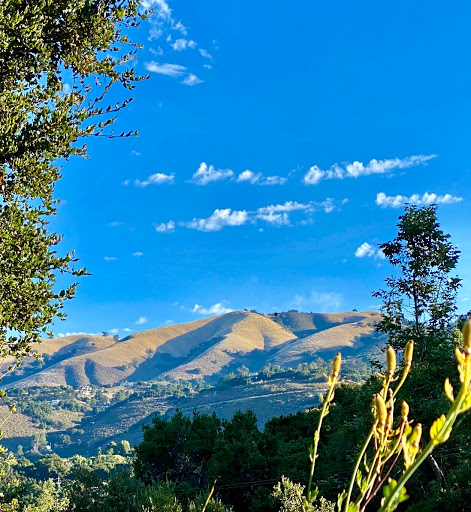 Carmel Valley Road Co. image