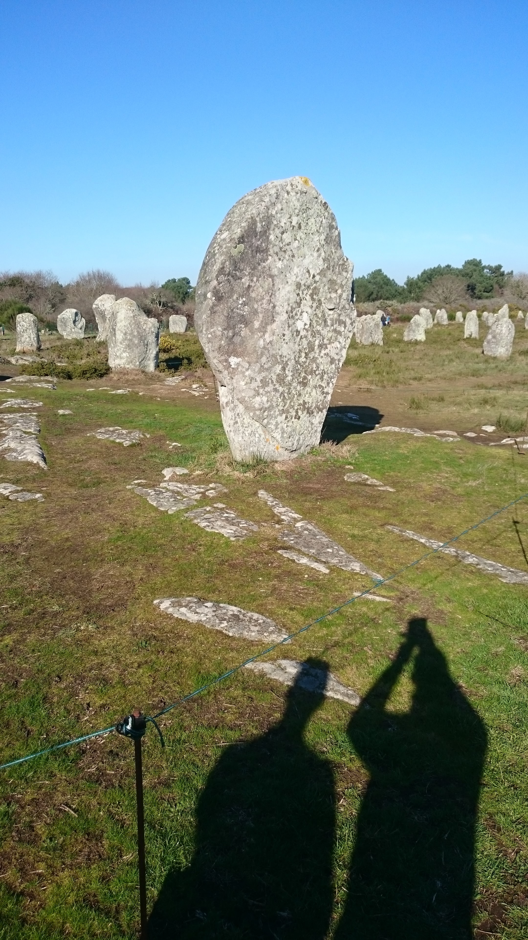 Photo n° 2 de l'avis de Alexandre.O fait le 20/10/2018 à 07:50