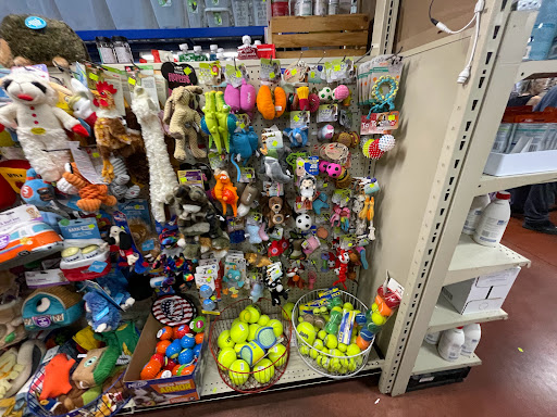 Pet Store «Pet Food Depot», reviews and photos, 17645 N Cave Creek Rd, Phoenix, AZ 85032, USA