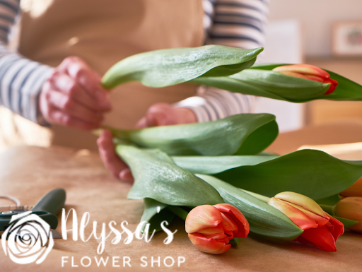 Florist «Alyssas Flower Shop», reviews and photos, 6127 W Cermak Rd, Cicero, IL 60804, USA