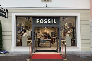 Fossil outlet image